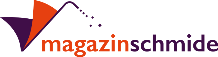 Logo-einzeiler-V2-700x186-rgb